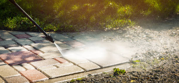 Best Roof Cleaning and Mildew Removal in Fruitridge Pocket, CA